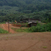 Camp de base - Gabon